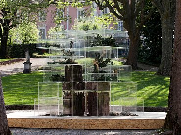 Trasparenti Riflessioni